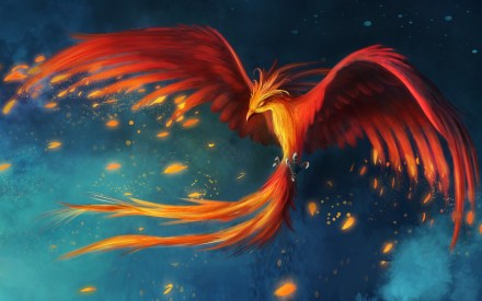 bird-phoenix-flight-art-drawing